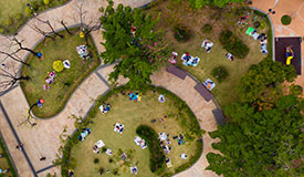 Why Do People Go To Parks?