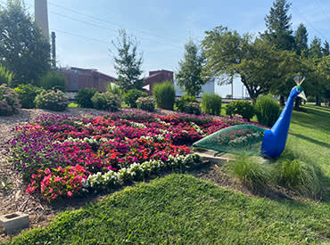 0526 operations beautify your community one flower at a time 370x275