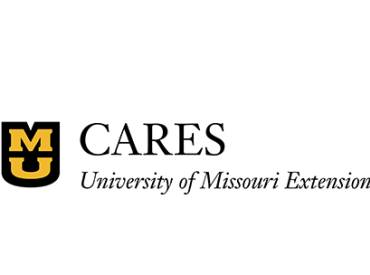 Center for Applied Research and Engagement Systems 410