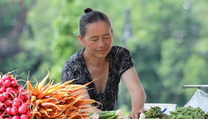 Community Nutrition Hub 410
