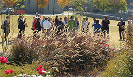 Great Urban Parks Campaign Funded Projects