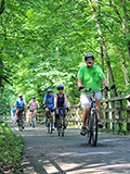 Health and Economic Benefits of Parks Resources
