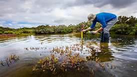 Nature-Based Solutions to Climate Change