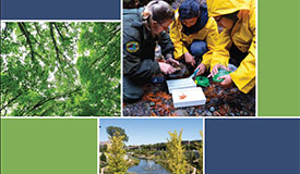 Park and Recreation Sustainability Practices