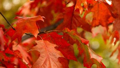 Parks Snapshot October blog 410