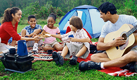 picnic