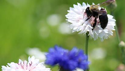 Sustainability Report Featured 410