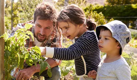 Finding Your Green Thumb