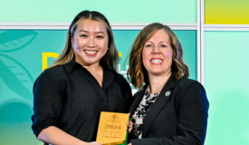 Scholarships and Fellowships: Diversity Scholarships