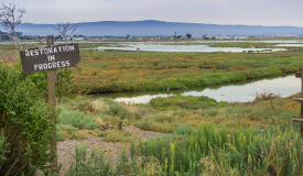 NRPA Innovation Awards: Conservation